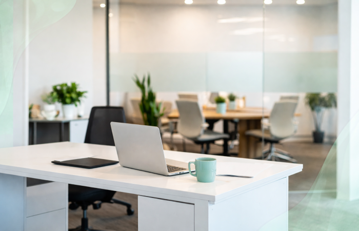 Mint Office Blank